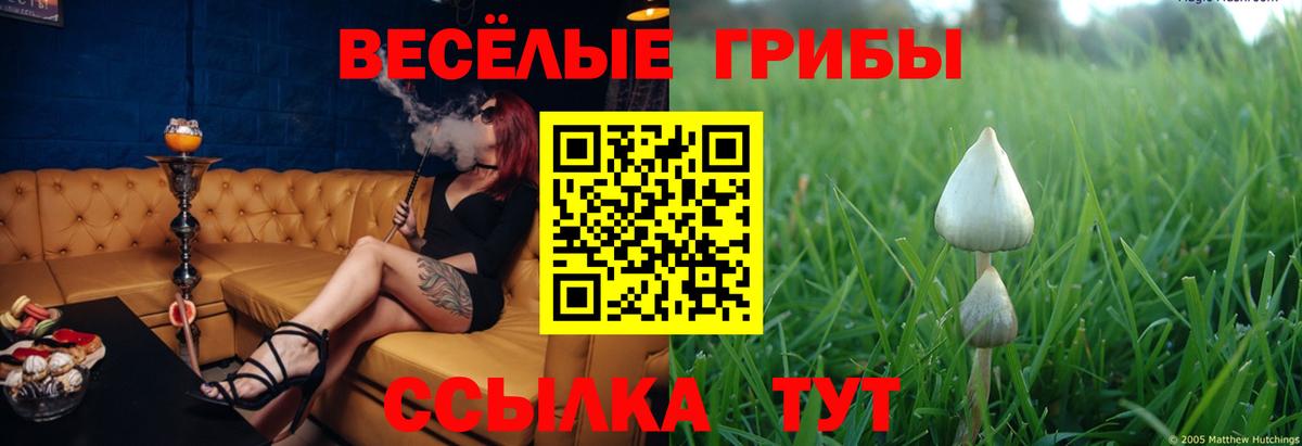 Галлюциногенные грибы MAGIC MUSHROOMS Соликамск